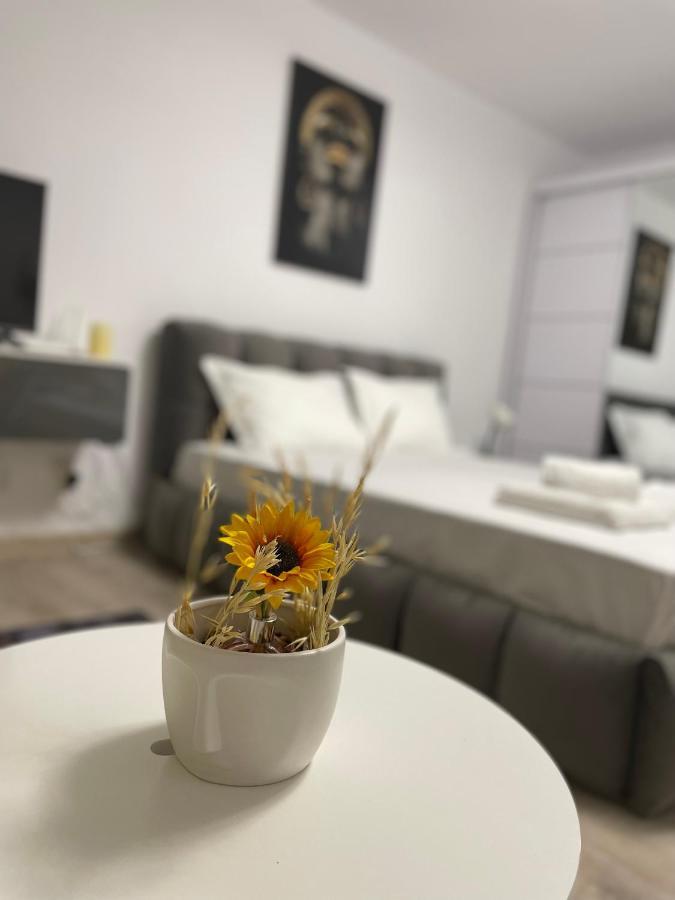 Wow Unirii-Coposu Apartment Букурещ Екстериор снимка